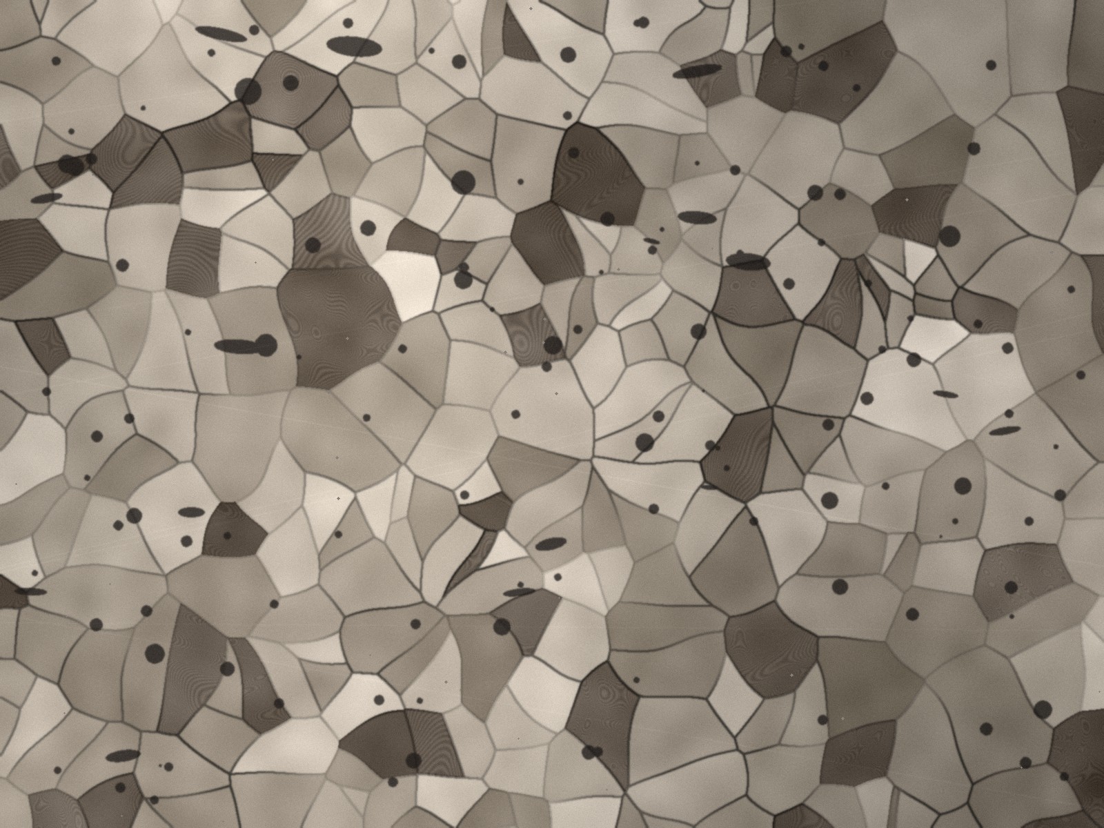 Metallography micrograph
