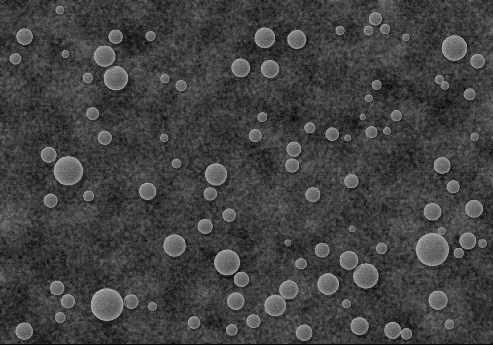 Scanning electron microscopy image